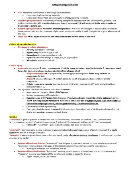 Nursing School Pathophysiology Study Guide - Etsy Canada ipadplannertemplate #plannerdeestudosparaimprimir. Study Planner Ideas, Study Sessions Planner, Pathophysiology Nursing, Nursing School Studying Cheat Sheets, Med School Study, Learn Biology, Nursing School Essential, Nursing Study Guide, Nurse Study Notes