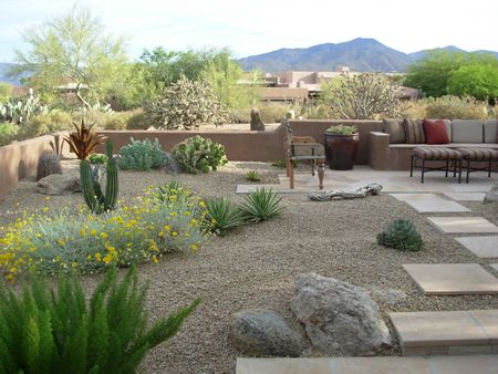 Arizona landscapes...about to be a regular sight for me! via ANOZYRA landscape services. Arizona Backyard Landscaping, Desert Landscaping Backyard, Desert Backyard, Arizona Backyard, Yard Plants, Arizona Landscape, Drought Resistant, Large Backyard, Desert Garden