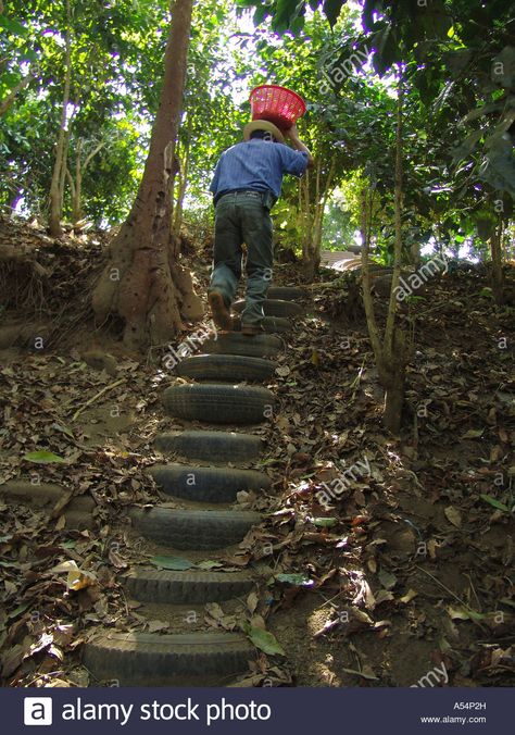 Old tire steps Woman Watering Plants, Backyard Hill Landscaping, Tire Steps, Soil Erosion, Farm Women, Resort Cabins, Play Garden, Watering Plants, Garden Stairs