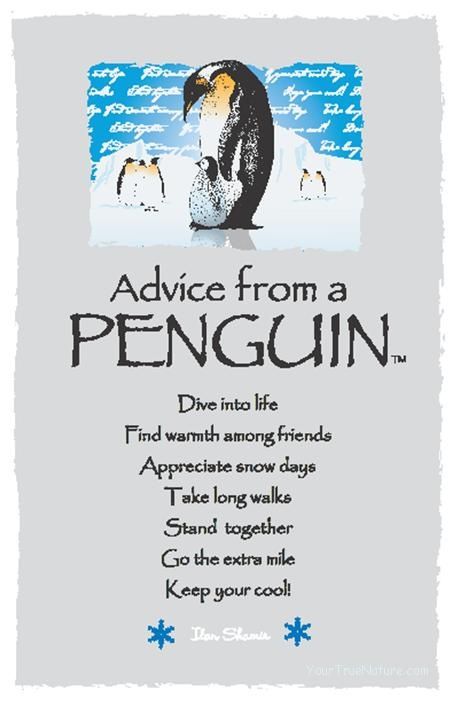 ☆ Advice From a Penguin ~:By Ilan Shamir ☆ Penguin Quotes, Animal Spirit Guides, Penguin Love, Snow Days, The Penguin, Extra Mile, Advice Quotes, Animal Totems, Cute Penguins