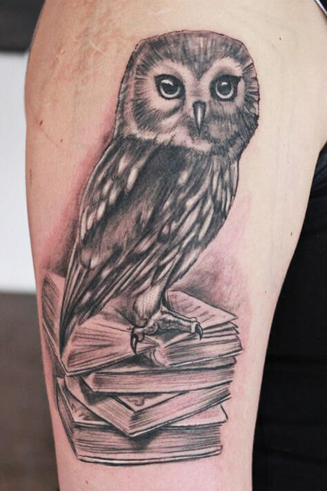 15+ Wise Owl Tattoo Designs and Ideas | PetPress Snowy Owl Tattoo, Simple Owl Tattoo, Traditional Owl Tattoos, Owl Tattoo Meaning, Realistic Owl Tattoo, Tattoo Owl, Cute Owl Tattoo, Owl Tattoo Design, Tattoo Desings