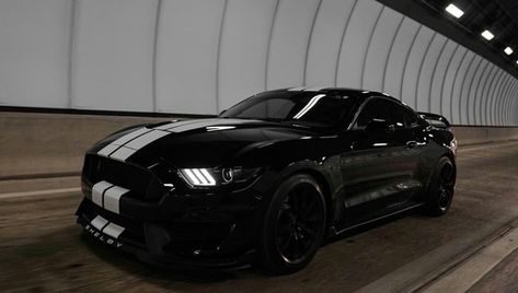 Black Mustang Gt, Mustang Gt350, Rally Stripes, Car Stripes, Black Mustang, Mustang Car, Stanced Cars, Shelby Gt350, Street Racing Cars