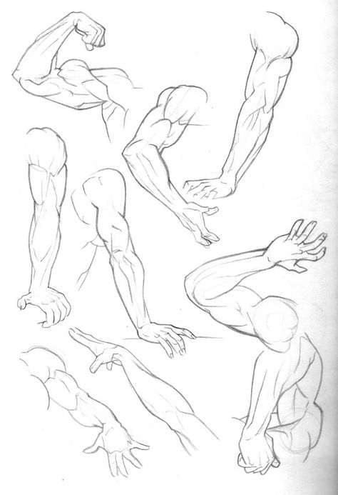 Sketch Dump: Arms by Bambs79 on DeviantArt Arm Anatomy, Arm Drawing, Male Figure Drawing, Human Anatomy Drawing, Body Sketches, Human Figure Drawing, Anatomy Sketches, 캐릭터 드로잉, Anatomy Drawing