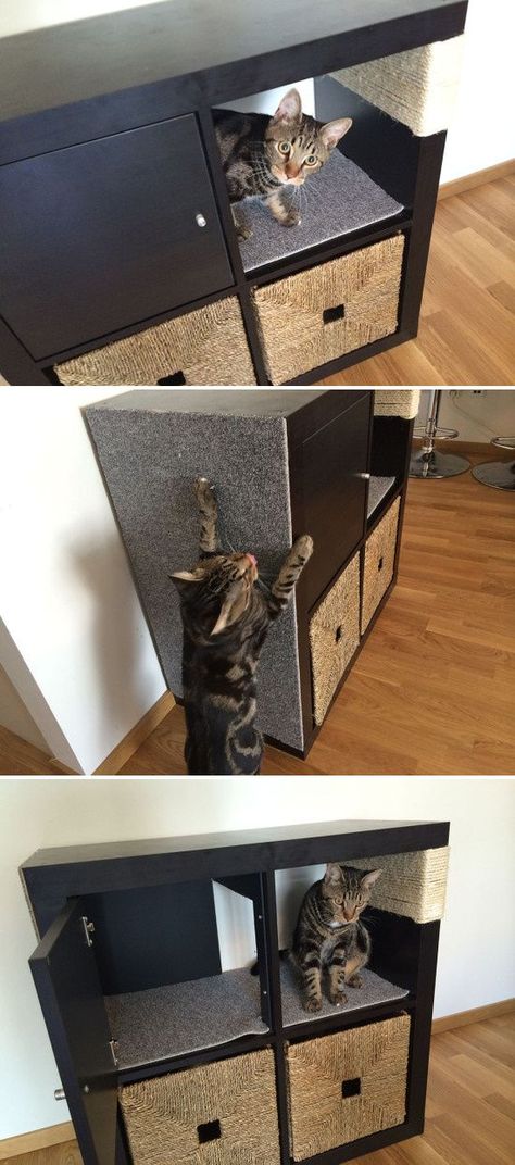 Kallax cat scratching furniture ~ modified cabinet from IKEA's Kallax line (formerly Expedit) ~ sisal rope wrap & climbing wall for claws, cubby for hiding, toy/supply storage below | from IKEA Hackers Kallax Cat, Katt Diy, Katt Grejer, Kat Diy, Cat Scratching Furniture, Koti Diy, Diy Cat Tree, Ikea Hackers, Kallax Ikea