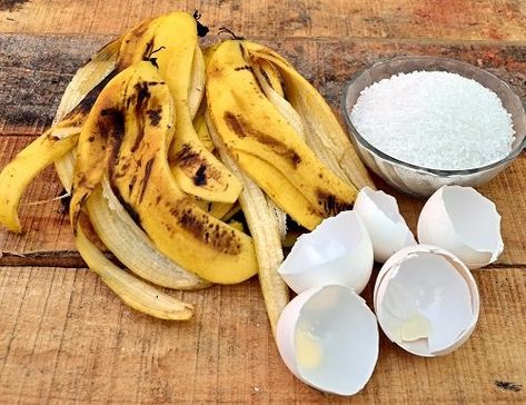 Home Made Fertilizer, Homemade Plant Fertilizer, Homemade Fertilizer, Diy Fertilizer, Pomegranate Peel, Potassium Foods, Vegetable Scraps, Banana Benefits, Dried Bananas