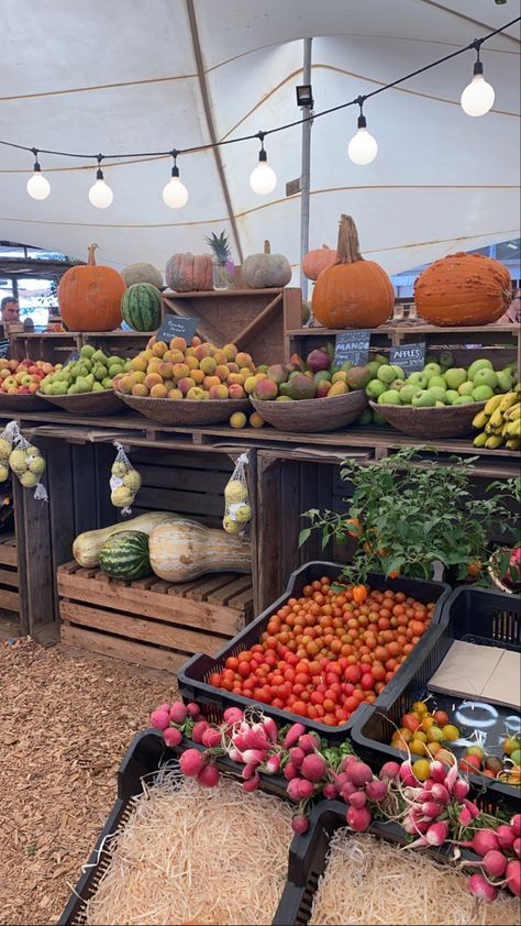 Oranjezicht City Farm Market in Cape Town City Farm, Farm Market, Small Farm, Little Bird, Farm Life, Cape Town, Farmers Market, Farmer, Cape