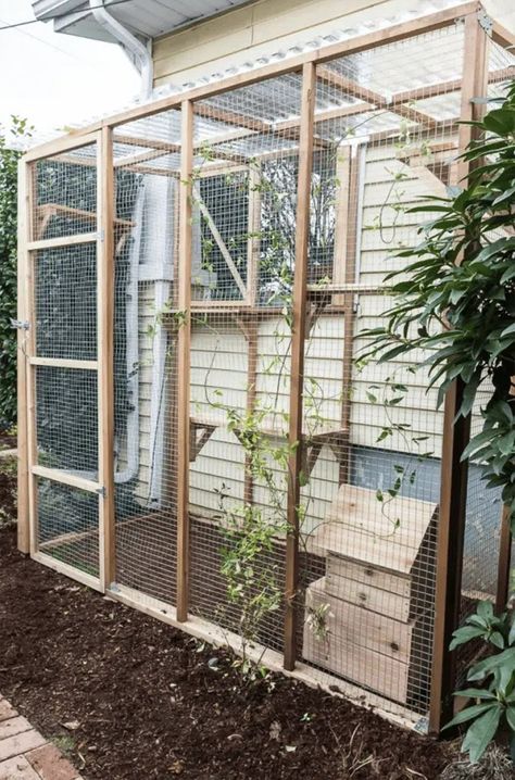 15 Free DIY Catio Plans That Are Perfect For The Outdoors (With Pictures) - Catster Outside Cat Enclosure, Catio Plans, Catio Ideas, Diy Cat Enclosure, Feral Cat House, Small House Garden, Cat Patio, Outdoor Cat Enclosure, Herb Garden Design