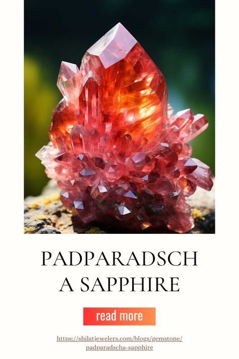 Padparadscha sapphires are a unique and rare variety of sapphire known for their delicate mix of pink and orange hues. These stunning gemstones are highly sought after for their mesmerizing colors and are often associated with creativity and intuition. #PadparadschaSapphire #SapphireJewelry #GemstoneBeauty #LuxuryGems #RareGemstones #ColorfulSapphires #JewelryDesign #FineJewelry #GemsOfTheWorld #PreciousStones Enagement Rings, Gemstone Jewelry Earrings, Gemstone Jewellery Design, Handmade Gemstone Jewelry, Padparadscha Sapphire, Orange Hues, Round Cut Engagement Rings, Tourmaline Necklace, Yellow Earrings