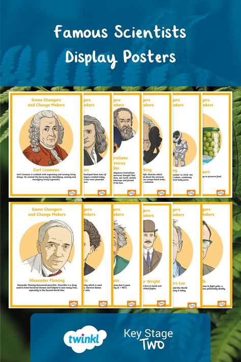 Famous Scientists Posters, Periodic Table Poster, Science Display, Carl Linnaeus, Display Posters, Key Stage 2, Famous Scientist, Primary Teaching, Primary Teachers