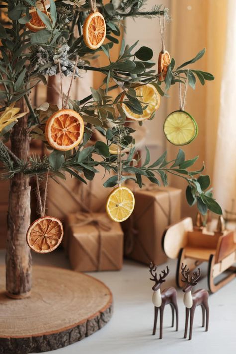 DIY Dried Orange and Lemon Ornaments for a Rustic Christmas Christmas Fruit Garland Diy, Dried Orange Slice Decor, Dried Lemon Decor, Orange Garland Tree, Lemon Christmas Decor, Low Waste Christmas Decorations, Orange Slice Ornaments Tree Decorations, Dried Fruit Christmas Ornaments, Dried Citrus Ornaments