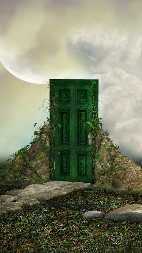 Fantasy Bookstore, Doorway Art, Door Portal, Winter Board, Magic Door, Chilli Plant, Portal Art, Green Door, Great Expectations