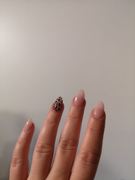 Fresh nails by Sasha Leopard Accent Nail, Fresh Nails, Accent Nail, Accent Nails, Nail Ideas, Leopard Print, Lookbook, Nails, Beauty