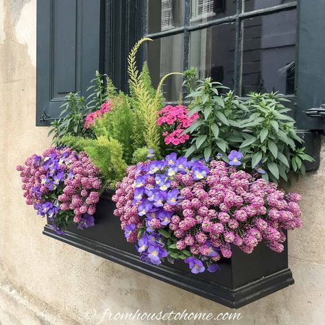 Emerald Arborvitae, Flower Box Ideas, Green Mountain Boxwood, Window Box Ideas, Flower Combinations, Impatiens Plant, Window Box Plants, Coral Bells Heuchera, Window Box Garden