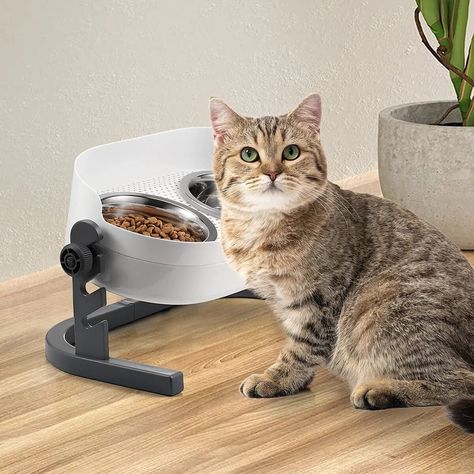 All for Paws Height Adjustable Cat Elevated Bowls Stainless Steel Dog Food Water Bowls, Height Adjustable Cat Feeder Mess Pro Cat Water Bowl, Elevated Dog Bowls, Cat Feeder, Stainless Steel Bowls, Pet Breeds, Water Bowl, Dog Feeding, Cat Bowls, Pet Bowls