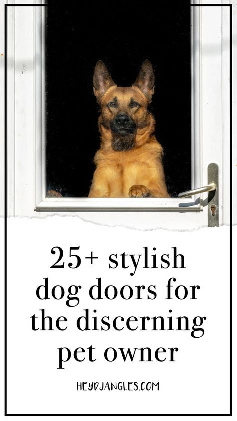 Dog Door In Window, Doors With Doggie Doors Built Ins, Dog Door Ideas In Wall, Pet Door Ideas, Doggie Door Ideas, Dog Door Ideas, Sliding Door Dog Door, Diy Doggie Door, Automatic Dog Door