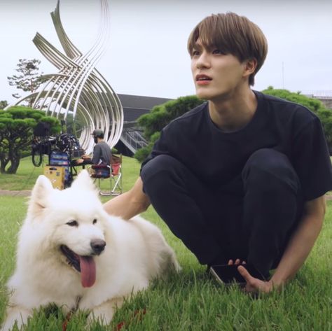 Jeno And Samoyed, จีซอง Nct, Nct Dream Members, Ten Chittaphon, Nct Jeno, Pose Reference Photo, Your Boyfriend, Short Story, Nara