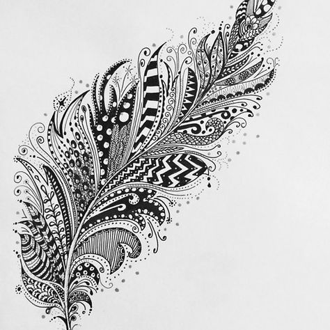 Zentangle feather Mandala Feather Drawing, Feather Ink Drawing, Zentangle Feathers Step By Step, Black Feather Drawing, Feather Zentangle Pattern, Mandala Feather, Feather Drawing, Art Sketches Doodles, Muster Tattoos