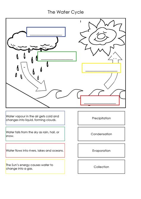 Water Cycle Diagram, Water Cycle Activities, Water Cycle Worksheet, First Grade Worksheets, 5th Grade Science, 2nd Grade Worksheets, About Water, Water Cycle, School Worksheets