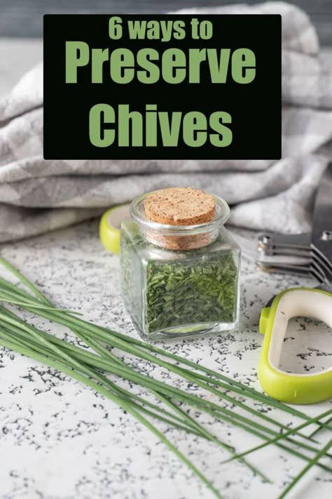 Learn great ways to Preserve Chives, step by step. Tips for storing, freezing and drying chives. Plus free recipes. Dry Chives How To, Preserving Chives Fresh Herbs, How To Save Fresh Chives, Freezing Fresh Chives, How To Freeze Fresh Chives, How To Store Chives, How To Dry Chives In The Microwave, What To Do With Fresh Chives, Chives Uses