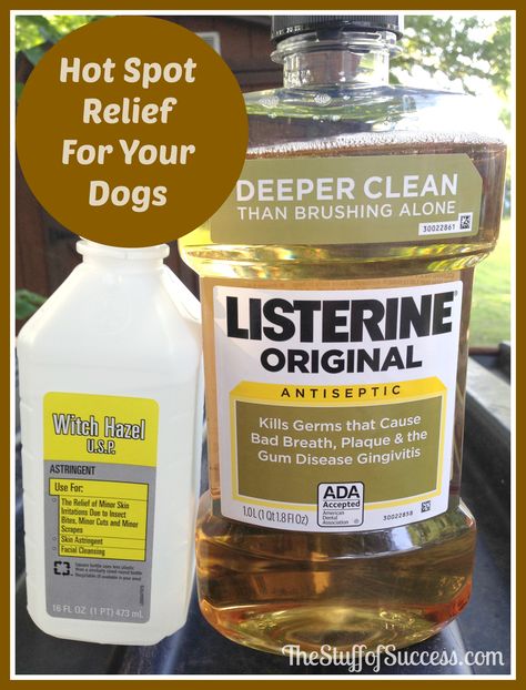 Hot Spot Relief For Your Dogs Dog Hot Spots, Flea Remedies, Meds For Dogs, Pet Remedies, Itchy Dog, Dog Remedies, Oils For Dogs, Dog Skin, Dog Care Tips