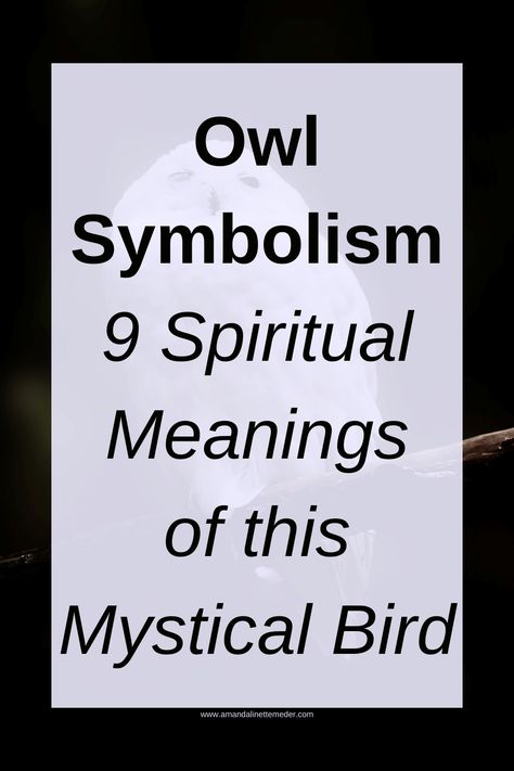 Owl Symbolism: 9 Spiritual Meanings of this Mystical Bird — Amanda Linette Meder Owl Significance, Spiritual Meaning Of Owls, Owl Meaning Spiritual, Owl Symbolism Meaning, Meaning Of Owls, Owl Spiritual Meaning, Owl Spirit Animal Art, Owl Meaning, Images Of Owls