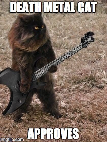 Metal Meme, Söt Katt, Heavy Metal Music, Six Feet Under, Music Memes, Metal Music, Funny Animal Pictures, Animal Memes, Cat Pics