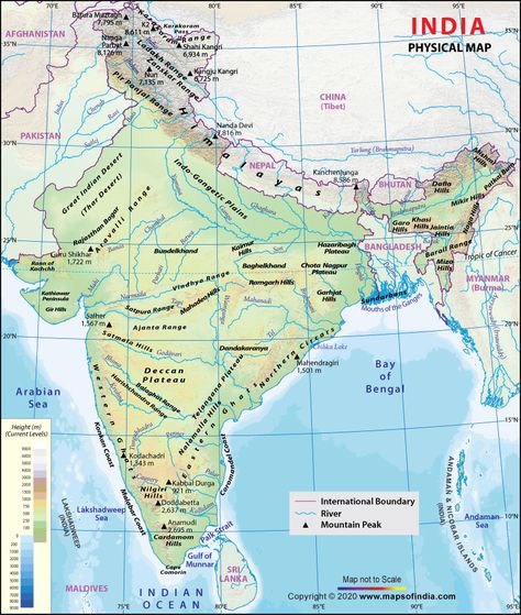 Find all about the physical features of India. Physical Map of India showing major rivers, hills, plateaus, plains, beaches, deltas and deserts. Physical Map Of India, Indian River Map, World Geography Map, Mountains In India, Geography Notes, Map Of India, Social Studies Notebook, Continents And Oceans, Physical Map