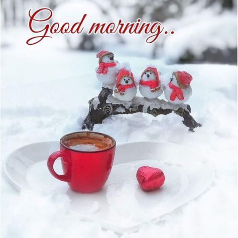 Happy Winter Saturday, Good Morning Saturday Winter, Saturday Morning Quotes, Saturday Greetings, Good Morning Winter, Weekend Greetings, Week Quotes, Sunday Blessings, Good Morning Happy Saturday