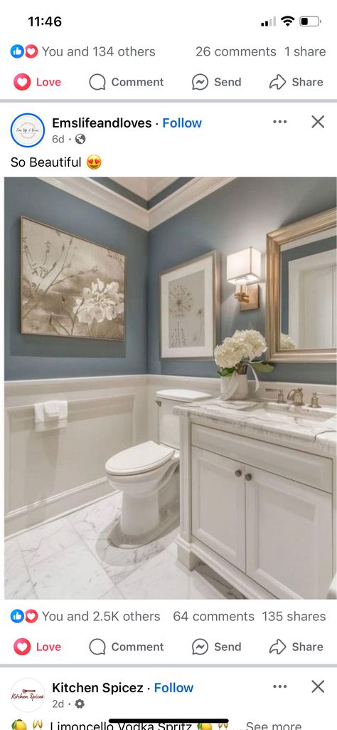 Bathroom Wainscoting Ideas, Farmhouse Goals, Bathroom Wainscoting, 2024 Bathroom, Painted Vanity Bathroom, Wainscoting Bathroom, Painted Bathroom, Bath Redo, Brown Bathroom