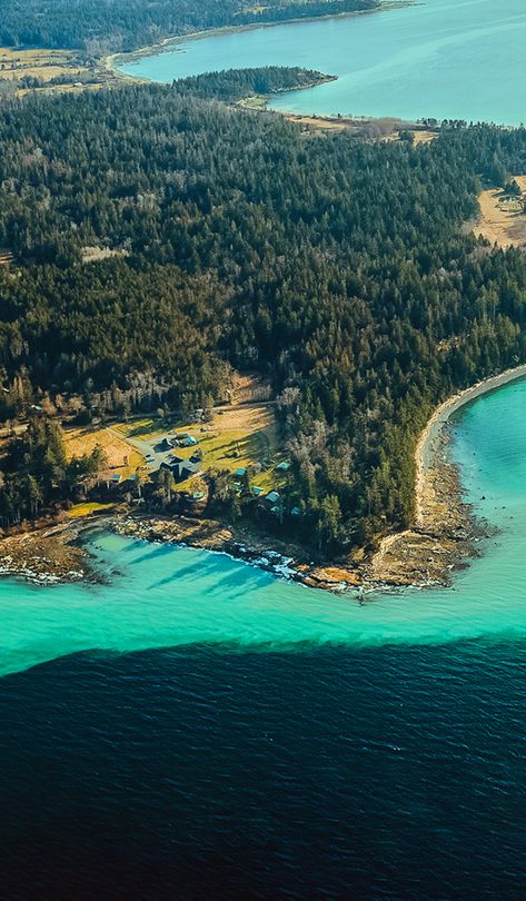 Sea Breeze Lodge | Your Hornby Island Getaway Hornby Island, Travel Vancouver Island, Travel Vancouver, Rustic Comforter, Rustic Cabins, Waterfront Property, Island Getaway, Relax And Unwind, Rustic Cabin