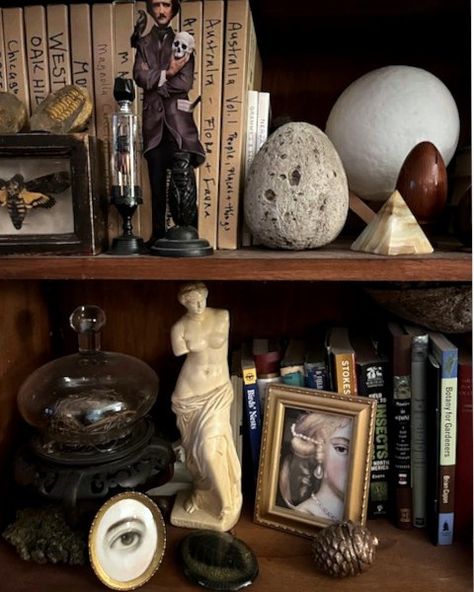 Pretty Bookshelves, Vintage Interior Decor, Cabinet Of Curiosity, Curiosity Cabinet, Cabinet Of Curiosities, Eclectic Living Room, Apartment Decor Inspiration, Vintage Interior, Classical Art