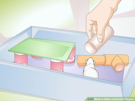 How to Make a Hamster Playpen: 14 Steps (with Pictures) - wikiHow Hamster Playpen, Empty Plastic Bottles, Paper Towel Tubes, A Hamster, Hamster House, Syrian Hamster, Year 3, Small Animals, Lego Brick