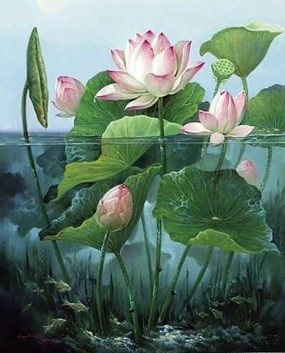 Nicoletta Carlone on Instagram: “Antique Lotus illustration” Lotus Painting, Lotus Art, 수채화 그림, Trendy Flowers, Art Japonais, Chinese Painting, Water Lily, Water Lilies, Botanical Illustration