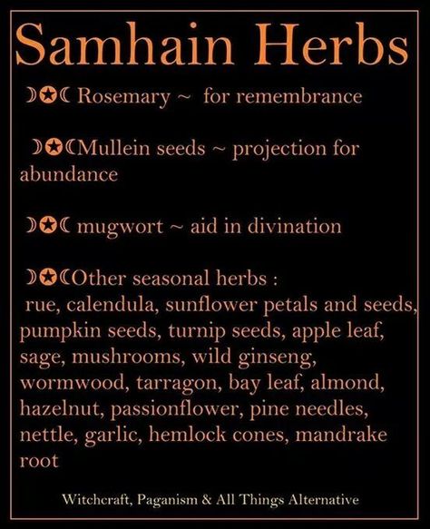 Samhain Herbs – Witches Of The Craft® Samhain Herbs, Sun Spells, Herbs Witch, Samhain Ritual, Witch Herbs, Samhain Halloween, Kitchen Witchery, Eclectic Witch, Herb Seasoning