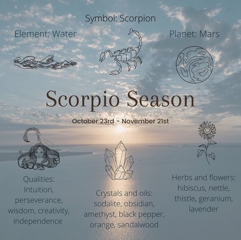 Scorpio Herbs And Flowers, Scorpio Season Aesthetic, November Magick, Moon Names, Season Aesthetic, Happy November, Herbs And Flowers, Scorpio Season, Magick Spells