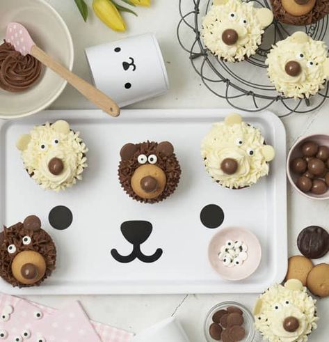 Little Bear Cupcakes | Annabel Karmel Bear Cupcakes Ideas, Polar Bear Cupcakes, Easy Cupcake Decorating, Polar Bear Cupcake, Chocolate Teddy Bear, Cupcakes Kids, Teddy Bear Cupcakes, Easy Cupcakes Decoration, White Chocolate Cupcakes