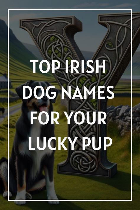 Welcome to the emerald world of Irish dog names, where tradition meets charm in every syllable! In this comprehensive guide, we dive into the rich tapestry of Irish culture to bring you over 1200 unique Irish Dog Names, Old Irish Names, Regal Names, Exotic Names, Irish Words, Female Dog Names, Protective Dogs, Irish Mythology, Irish Names