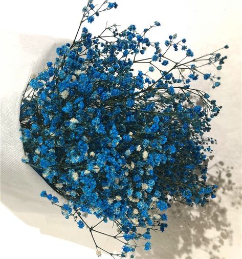 Blue Gypsophila, How To Preserve Flowers, New Room, Pretty Flowers, Future House, Flowers Bouquet, Bouquets, Home And Garden, Flowers