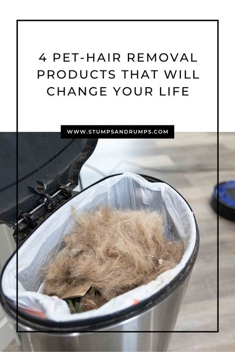 Cleaning Hacks For Dog Hair, Dog Hair Hacks Tips And Tricks, Cleaning Dog Hair Off Couch, Dog Shedding Hacks, How To Clean Dog Hair In House, Cleaning Dog Hair House, How To Get Rid Of Dog Hair In The House, How To Clean Dog Hair Off Couch, Cleaning Dog Hair Off Hardwood Floors