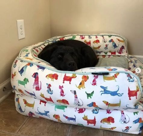 Homemade Dog Beds For Large Dogs, Dog Bed Diy Large, Dog Bed Inspiration, Creative Dog Bed, Diy Dog Beds, Easy Dog Bed, Dog Bed Ideas, Large Dog Beds, Dog Beds Homemade