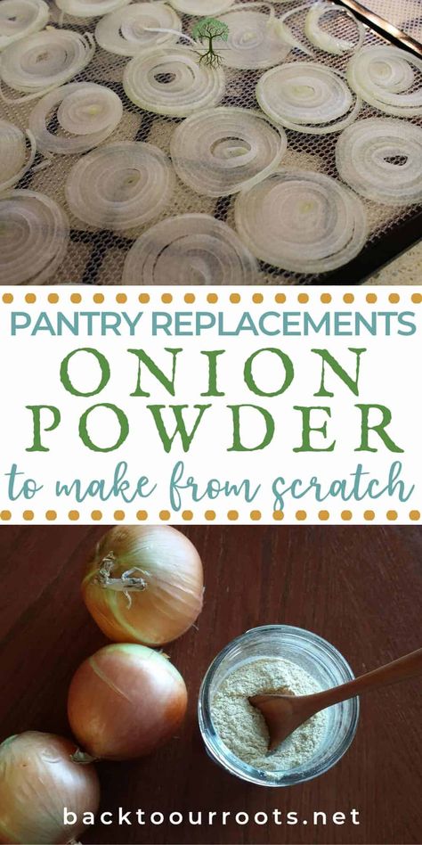 How To Preserve Onions, Preserving Onions, Homemade Onion Powder, Dehydrating Food Storage, Dehydrated Vegetables, Canning Food Preservation, Canned Food Storage, Homemade Ranch Dressing, Dehydrated Fruit