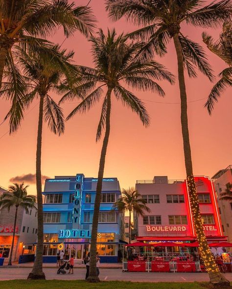 Miami Sunset, Miami Vibes, Florida Aesthetic, Miami Trip, Miami Vacation, Miami Night, Miami City, Miami Travel, Miami Style