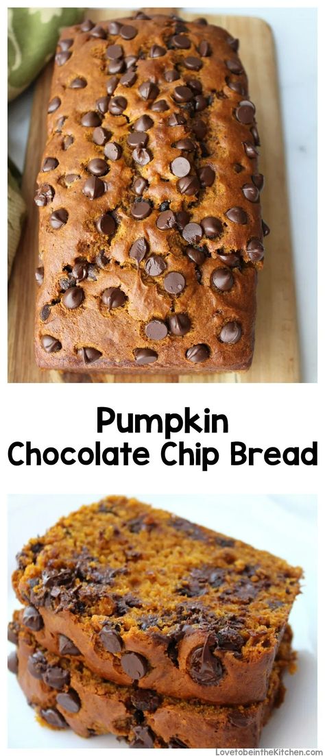 Pumpkin Chocolate Chip Bread - Love to be in the Kitchen Chocolate Chip Bread Recipe, Pumpkin Bread Easy, Coconut Dessert, Chocolate Chip Bread, Pumpkin Chocolate Chip Bread, Baking Stuff, Pumpkin Chocolate Chip, Brownie Desserts, Pumpkin Bread Recipe