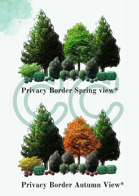 Northwest Native Privacy Border & Food Forest Landscape Design/garden Plan - Etsy Privacy Landscaping Sideyard, Natural Privacy Fences, Lifestyle Block, Homestead Lifestyle, Evergreen Landscape, Garden Retreat, Farmhouse Glam, Privacy Landscaping, Backyard Designs