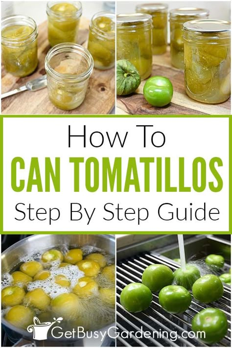 Canned Tomatillo Salsa Verde, Canning Tomatillos, Pickled Squash Recipe, Canning Green Tomatoes, Canned Tomatillos, Tomatillo Recipes, Store Produce, Plum Jam Recipes, Tomatillo Sauce