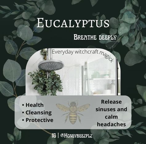 Clearing Sinuses, Hanging Eucalyptus, How To Clear Sinuses, Witch Tips, Witch Spell Book, Witch Spell, Spiritual Meaning, Local Florist, Spell Book