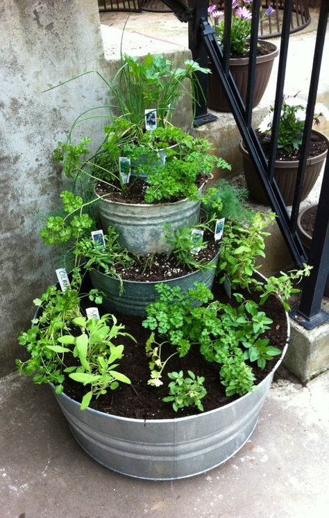 I have always wanted an Herb Garden. Balcony Herb Gardens, Patio Herb Garden, Outdoor Herb Garden, Diy Herb Garden, Garden Types, Have Inspiration, Colorful Garden, Gardening For Beginners, Small Gardens