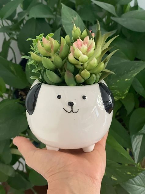 Animal Pots For Plants, Dog Pottery Ideas, Unique Pots For Plants, Cute Plant Pots, Animal Pots, Dog Pottery, Cute Pots, Dog Planter, Indoor Flower Pots