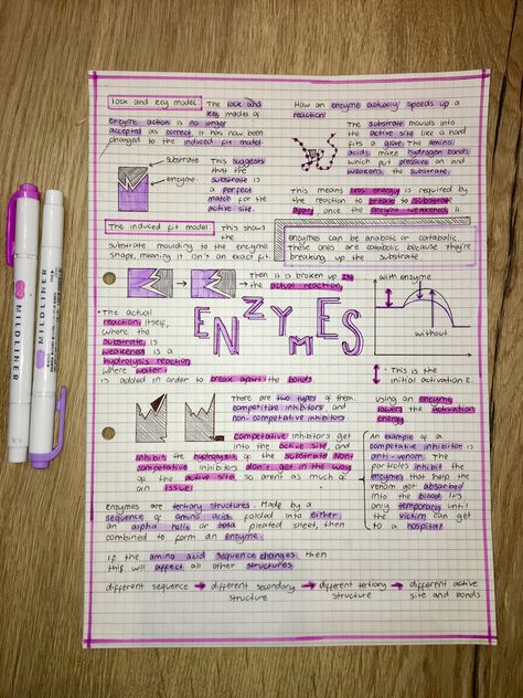 Bioenergetics Biology Notes, Enzymes Biology Notes Aesthetic, Enzymology Notes, Ap Biology Notes Aesthetic, Enzymes Biology Notes, Enzymes Notes, Revision Mindmaps, Revision Inspiration, Enzymes Biology