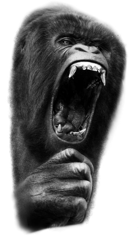 Gorilla tattoo design Silverback Gorilla Tattoo Design, Realistic Gorilla Tattoo, Silverback Gorilla Tattoo, Gorilla Tattoo Ideas, Gorilla Tattoo Design, Animal Stencils, Gorilla Tattoo, Silverback Gorilla, Animal Stencil